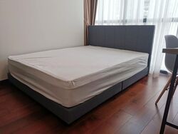 Normanton Park (D5), Apartment #558915531